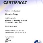 Auditor-za-OHSAS-2